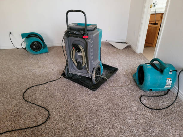 Best Emergency water extraction  in Lansing, IL