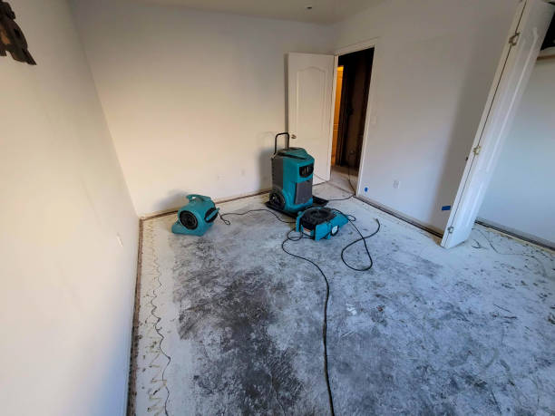 Best Carpet water damage restoration  in Lansing, IL