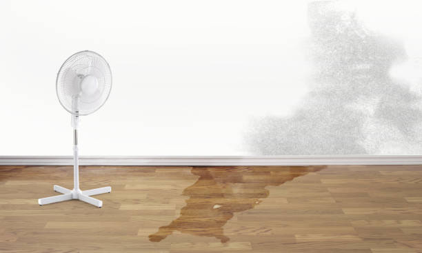 Best Flooded house restoration  in Lansing, IL