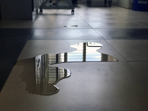 Best Carpet water damage restoration  in Lansing, IL