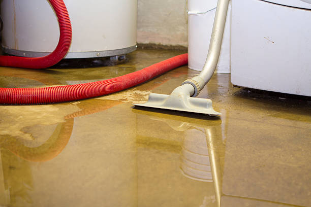Best Ceiling water damage repair  in Lansing, IL