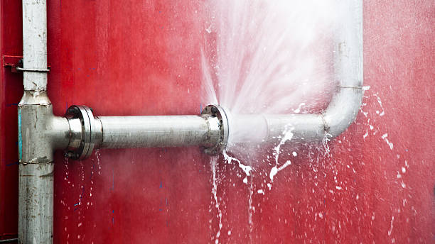 Best Water damage contractors near me  in Lansing, IL