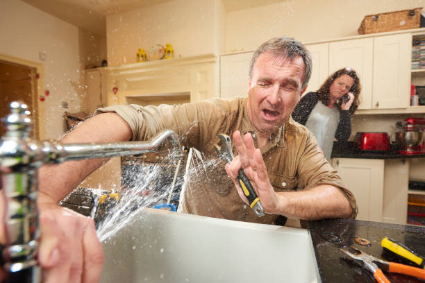 Best Mold removal after water damage  in Lansing, IL